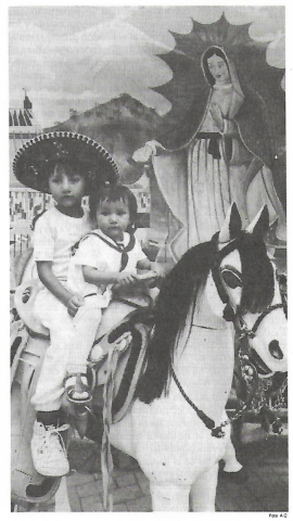 El Partido del Trabajo: recuento de una derrota